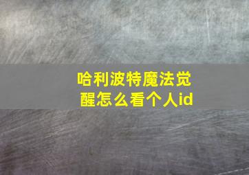 哈利波特魔法觉醒怎么看个人id