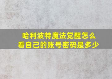 哈利波特魔法觉醒怎么看自己的账号密码是多少