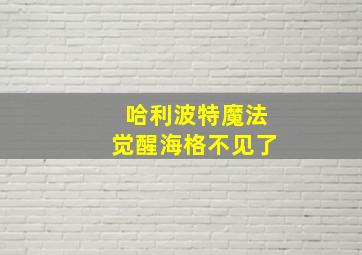 哈利波特魔法觉醒海格不见了