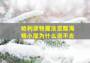 哈利波特魔法觉醒海格小屋为什么进不去