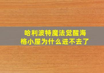 哈利波特魔法觉醒海格小屋为什么进不去了