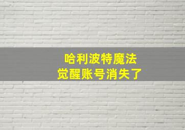 哈利波特魔法觉醒账号消失了