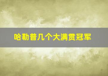 哈勒普几个大满贯冠军