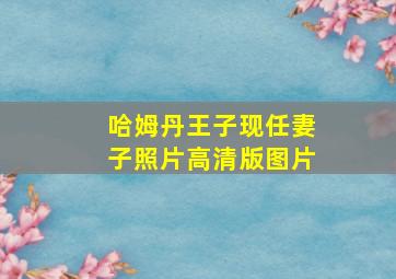 哈姆丹王子现任妻子照片高清版图片