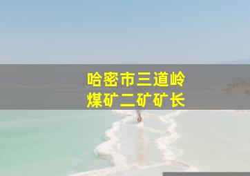 哈密市三道岭煤矿二矿矿长