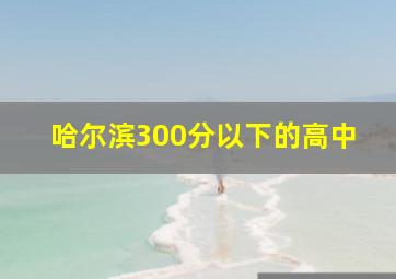 哈尔滨300分以下的高中