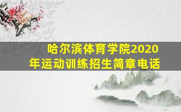 哈尔滨体育学院2020年运动训练招生简章电话