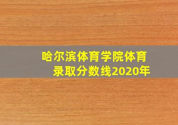 哈尔滨体育学院体育录取分数线2020年