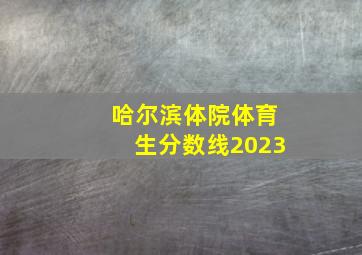 哈尔滨体院体育生分数线2023