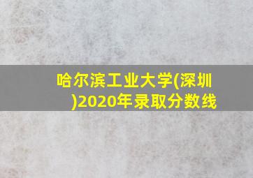 哈尔滨工业大学(深圳)2020年录取分数线