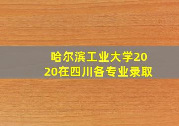 哈尔滨工业大学2020在四川各专业录取