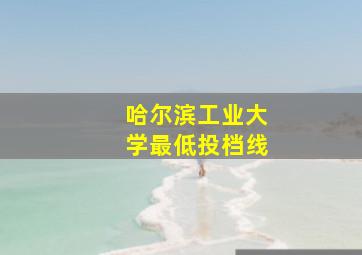 哈尔滨工业大学最低投档线