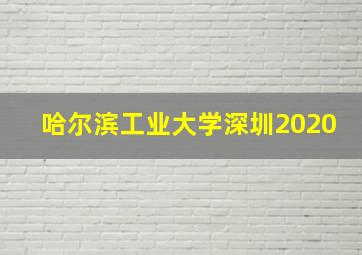 哈尔滨工业大学深圳2020