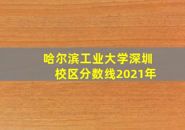 哈尔滨工业大学深圳校区分数线2021年