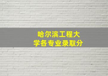 哈尔滨工程大学各专业录取分