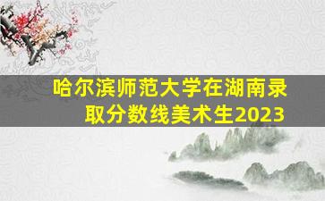 哈尔滨师范大学在湖南录取分数线美术生2023