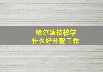 哈尔滨技校学什么好分配工作