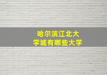 哈尔滨江北大学城有哪些大学