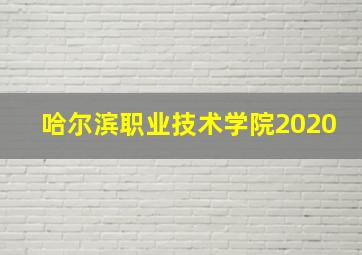 哈尔滨职业技术学院2020