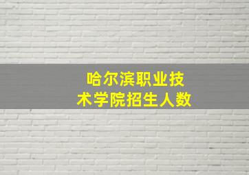 哈尔滨职业技术学院招生人数