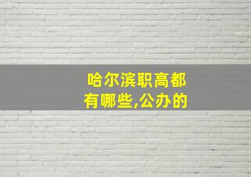 哈尔滨职高都有哪些,公办的