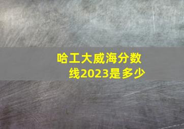 哈工大威海分数线2023是多少