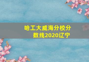 哈工大威海分校分数线2020辽宁