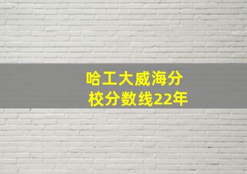 哈工大威海分校分数线22年