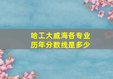 哈工大威海各专业历年分数线是多少