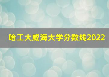 哈工大威海大学分数线2022