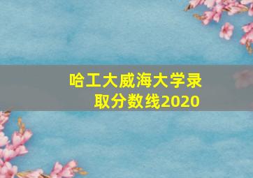 哈工大威海大学录取分数线2020