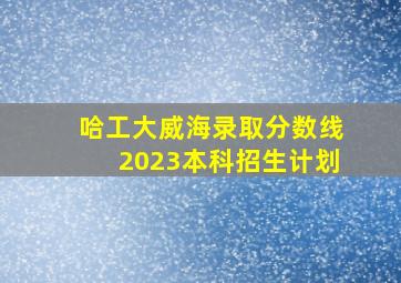 哈工大威海录取分数线2023本科招生计划