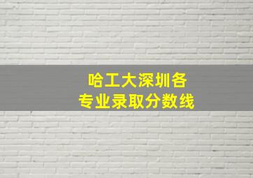 哈工大深圳各专业录取分数线