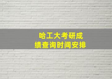 哈工大考研成绩查询时间安排