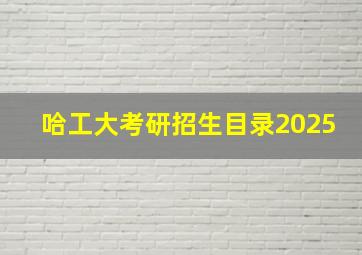 哈工大考研招生目录2025