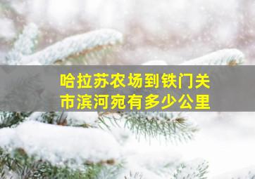 哈拉苏农场到铁门关市滨河宛有多少公里