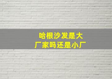 哈根沙发是大厂家吗还是小厂