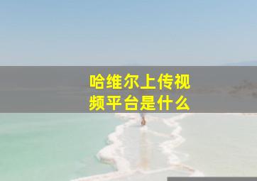 哈维尔上传视频平台是什么