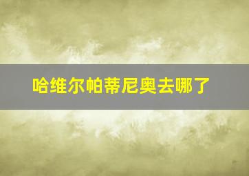 哈维尔帕蒂尼奥去哪了