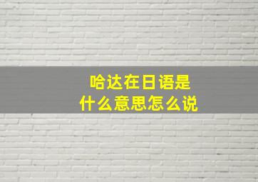 哈达在日语是什么意思怎么说