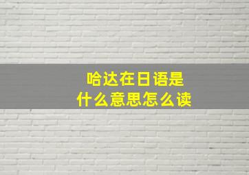 哈达在日语是什么意思怎么读