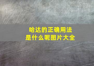 哈达的正确用法是什么呢图片大全