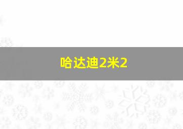 哈达迪2米2