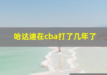 哈达迪在cba打了几年了