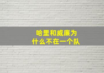 哈里和威廉为什么不在一个队