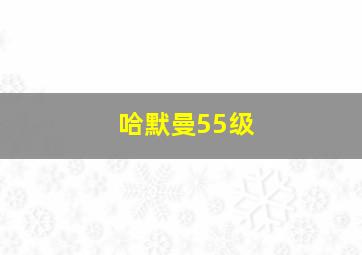 哈默曼55级