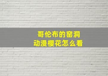 哥伦布的窑洞动漫樱花怎么看