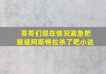 哥哥们现在情况紧急把叛徒阿斯特拉杀了吧小说