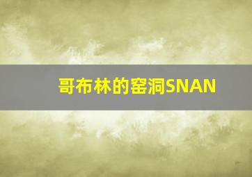 哥布林的窑洞SNAN