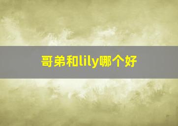 哥弟和lily哪个好